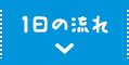 1日の流れ